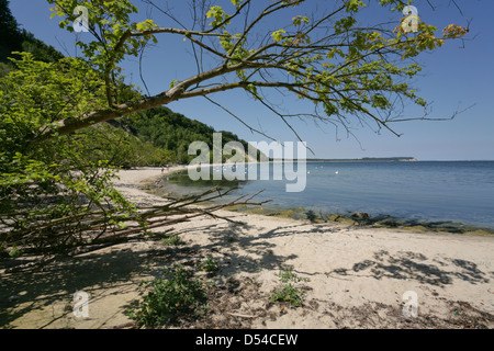 Am Strand auf der Insel Ruegen Nordperd Göhren, Deutschland Stockfoto