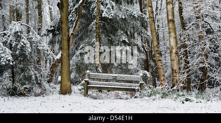 Schneebedeckte Holzbank Garten und Wald in der englischen Landschaft. Oakley Wald, Warwickshire, England Stockfoto