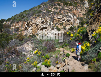 Wanderer genießen Sie Blick entlang der La Jolla Canyon Trail im Point Magu State Park in Süd-Kalifornien Stockfoto