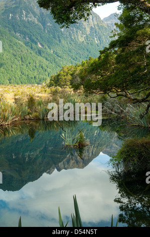 Reflexionen im Spiegelsee, Eglington Valley Stockfoto