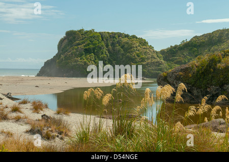 Schiffs Cove Beach, in der Nähe von Haast, West Coast, Neuseeland Stockfoto