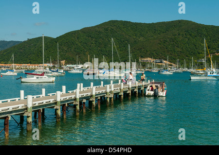 Steg an Waikawa Bay, Picton, Marlborough, Neuseeland Stockfoto