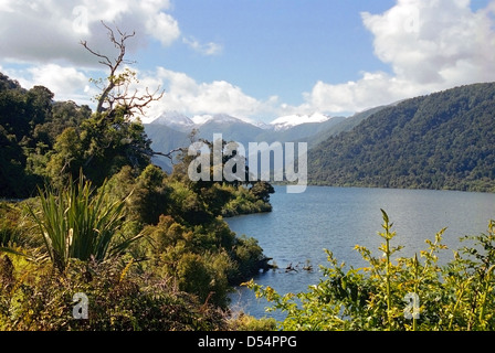 Lake Moeraki, Haast, West Coast, New Zealand Stockfoto