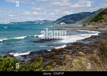 Goose Bay in der Nähe von Kaikoura, Canterbury, Neuseeland Stockfoto