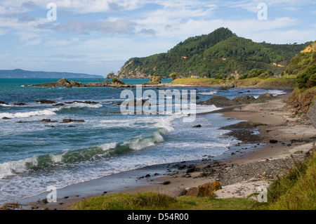 Kuaotunu Strand in der Nähe von Whitianga, Coromandel Peninsula, Neuseeland Stockfoto