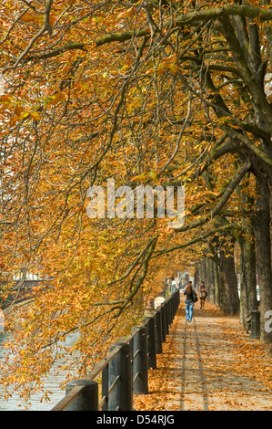 Autumn Leaves in Straßburg, Elsass, Frankreich Stockfoto