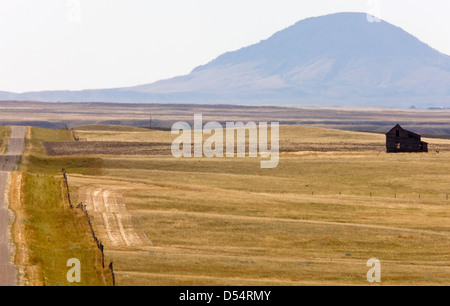 Südlichen Alberta ländliche Szene Prairie in der Nähe von Montana Milk River Stockfoto