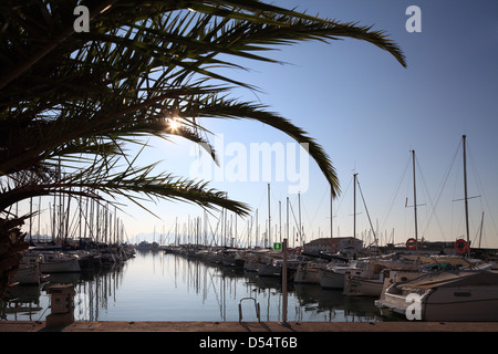 Puerto Pollensa, Spanien, Marina auf Mallorca Stockfoto