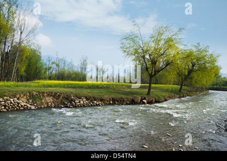 Fluss im Tal, Honegg, Anantnag Bezirk, Jammu und Kaschmir, Indien Stockfoto