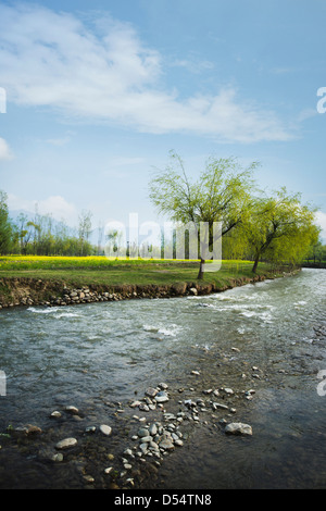 Fluss im Tal, Honegg, Anantnag Bezirk, Jammu und Kaschmir, Indien Stockfoto
