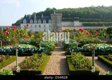 Gärten in Schloss Villandry, Villandry, Loiretal, Frankreich Stockfoto