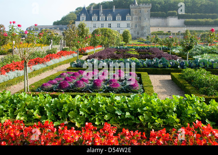 Gärten in Schloss Villandry, Villandry, Loiretal, Frankreich Stockfoto