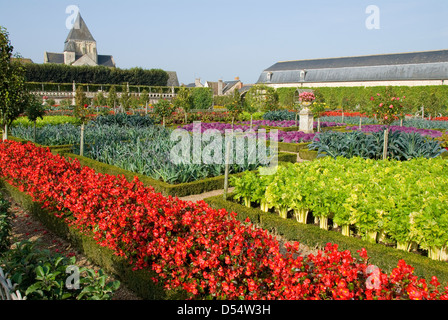 Gärten in Schloss Villandry, Villandry, Loiretal, Frankreich Stockfoto