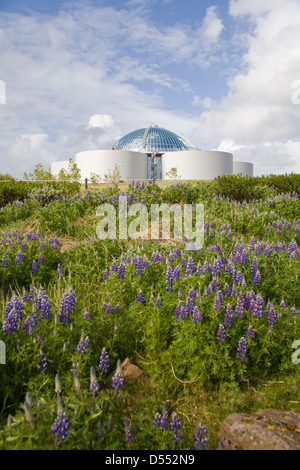 Island Reykjavik Warmwasser Speicher Tank Wahrzeichen die Perle Stockfoto