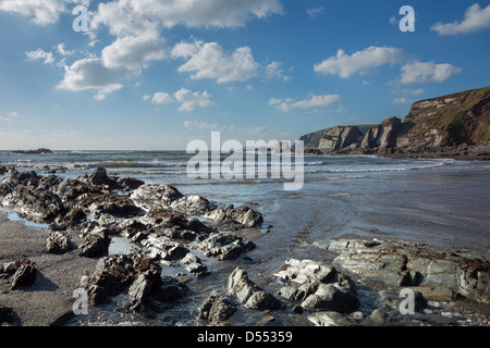 Ayrmer Cove South Devon Uk Stockfoto