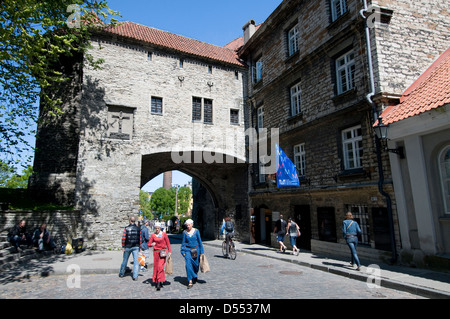 Torbogen des Großen Küstentors (Suur Rannavärav) am nördlichen Ende der Pikk-Straße in Tallinn, Estland, Baltikum Stockfoto