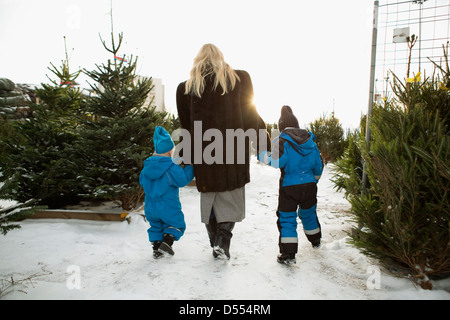 Mutter und Söhne Wahl Weihnachtsbaum Stockfoto