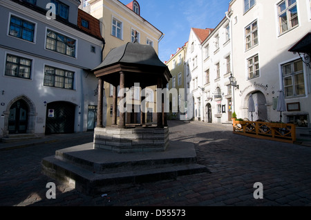 Ein Trinkbrunnen, bekannt als Katzenbrunnen an der Ecke von Rataskaevu und Dunkri in der Altstadt von Tallinn, Estland Stockfoto