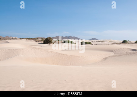 Sanddünen in Wüstenlandschaft Stockfoto