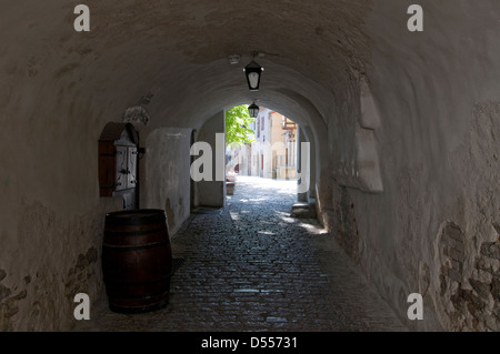 Katariina Käik - Katherinpassage in der Altstadt von Tallinn, Tallinn, Estland, den baltischen Staaten. Stockfoto