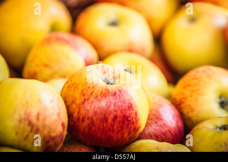 Nahaufnahme von Haufen Äpfel Stockfoto