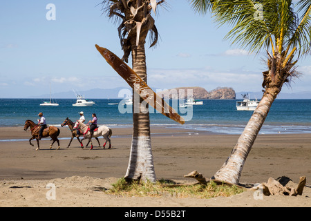 Reitpferde an den Ufern der Playas del Coco, Provinz Guanacaste, Costa Rica. Stockfoto