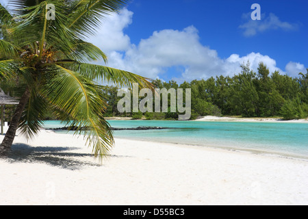 schöner Strand in Mauritius Insel mit Palmen und Meer Stockfoto