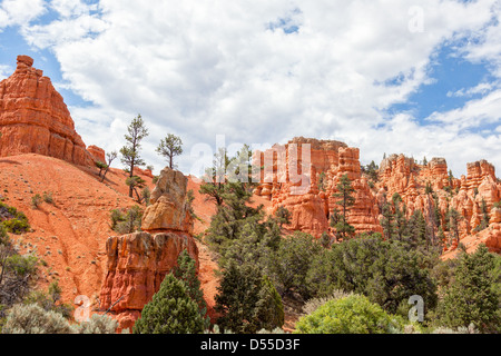 Bryce Canyon Nationalpark in Utah - USA Stockfoto