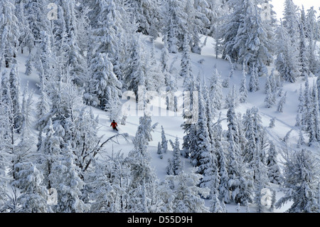 Ski out of Bounds Anthony Seen im Skigebiet, Oregon. Stockfoto