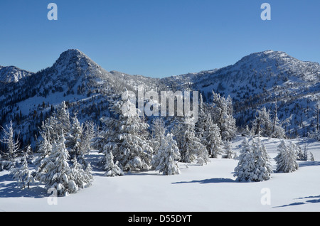 Winter in Oregon Elkhorn Bergen. Stockfoto