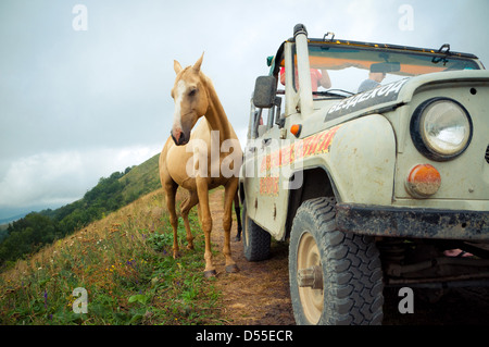 Sowjetische und russische Geländewagen UAZ und Pferd Stockfoto