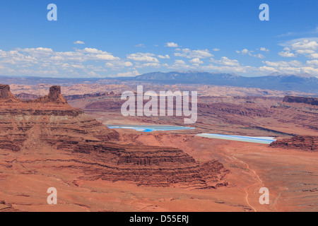 Tote Pferd Ansicht in Utah - USA Stockfoto