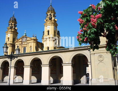 Theatiner-Kirche in München mit blühenden Bäumen Stockfoto