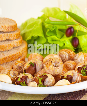 Lecker zubereitet Schnecken mit frischem grünen Salat Salat, schwarzen Oliven, Brot und Knoblauch auf weißen Teller im Restaurant Luxus Essen Stockfoto