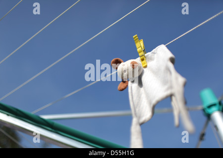 Handewitt, Deutschland, hängt ein Stofftier nach dem Waschen auf der Linie Stockfoto