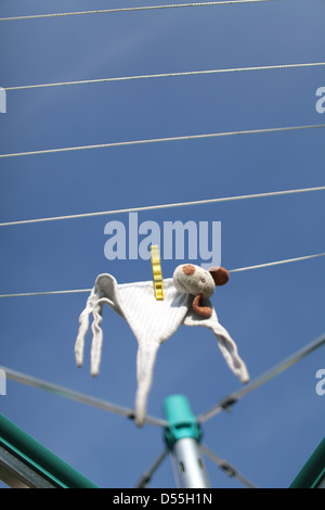 Handewitt, Deutschland, hängt ein Stofftier nach dem Waschen auf der Linie Stockfoto