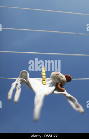 Handewitt, Deutschland, hängt ein Stofftier nach dem Waschen auf der Linie Stockfoto