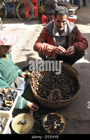 Landwirt peeling überschüssiges Wachstum seine Termine für den Verkauf am Markttag am Jemaa D' Rehmat, Marokko Stockfoto