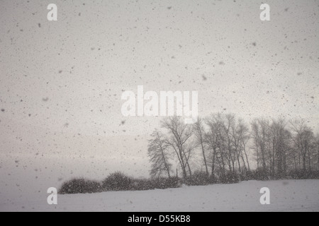 Lippen, Tschechische Republik, Schneefall Lipno-Stausee im Böhmerwald Stockfoto