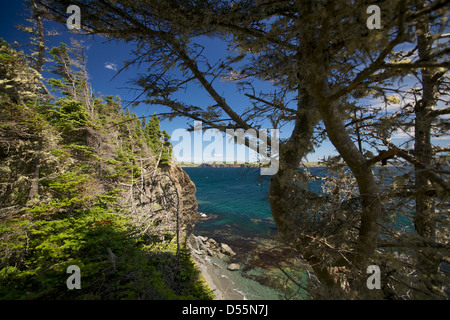 Ein Blick von der Skerwink Trail in der Nähe von Port Rexton und Trinity, Neufundland, Kanada. Stockfoto