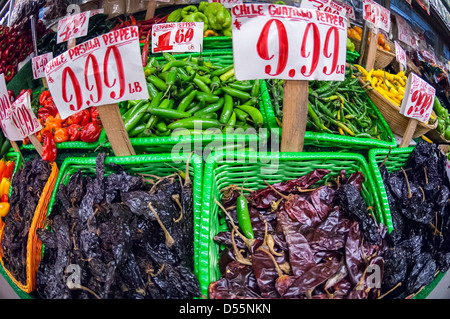 Eine Darstellung der verschiedenen Arten von Peperoni in einem Lebensmittelgeschäft im Stadtteil Chelsea in New York Stockfoto