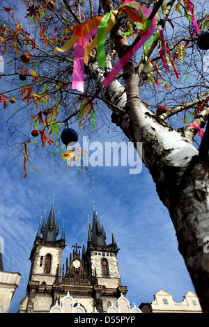 Ein bunt dekorierter Osterbaum auf dem Altstädter Ring Prag Tschechische Republik Vogelbaumstamm Stockfoto