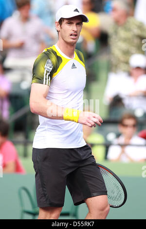 25. März 2013 - Miami, Florida, USA - reagiert Andy Murray aus Großbritannien gewann das Spiel gegen Grigor Dimitrov Bulgariens im dritten Vorrundenspiel bei den Sony Open im Crandon Park Tennis Center am 24. März 2013 in Key Biscayne, Florida. (Kredit-Bild: © Joe Scarnici/ZUMAPRESS.com) Stockfoto