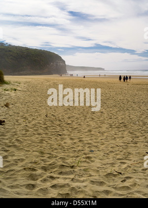 Auf dem Weg zur Kathedrale Höhlen, Waipati Strand, Catlins, in der Nähe von Papatowai, Clutha, Neuseeland.  Kathedrale-Höhlen ist nur zugänglich Stockfoto