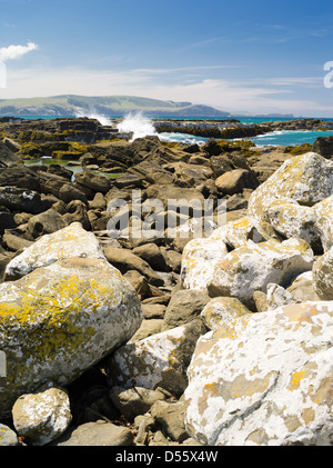 Surfen Sie auf den Felsen an der Mündung des Clutha, New Zealand, Porpoise Bay, Catlins abstürzt. Stockfoto