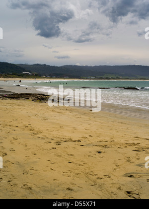 Auf dem Strand, Porpoise Bay, The Catlins, Clutha, Neuseeland. Stockfoto