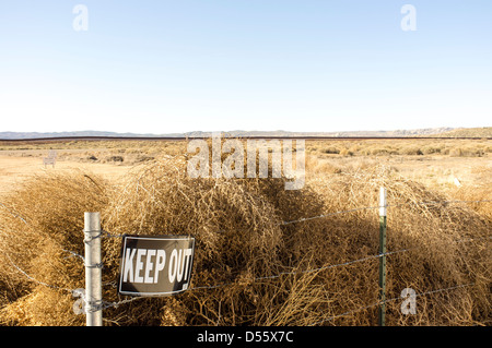 Halten Sie Zeichen und Tumbleweed, Jacumba Flughafen, Jacumba, Kalifornien, USA Stockfoto