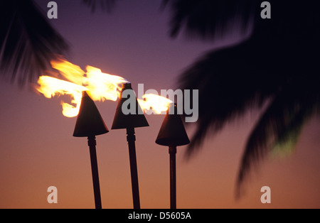 Silhouette der Baum Palmwedel und Fackeln bei Sonnenuntergang an der Küste am Mauna Lani, Kohala, Hawaii Stockfoto