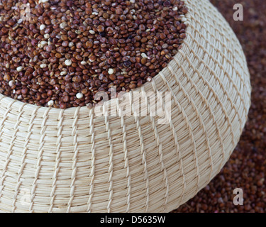 Bio-Quinoa in rot im Korb Stockfoto