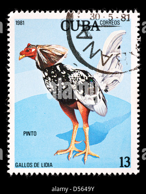 Briefmarke aus Kuba zeigt einen Hahn Stockfoto